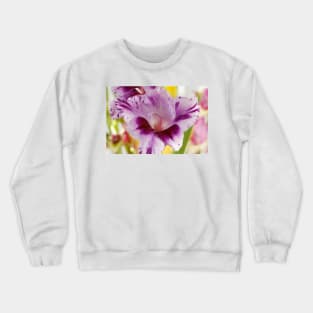 Gladiolus  'Passos' Crewneck Sweatshirt